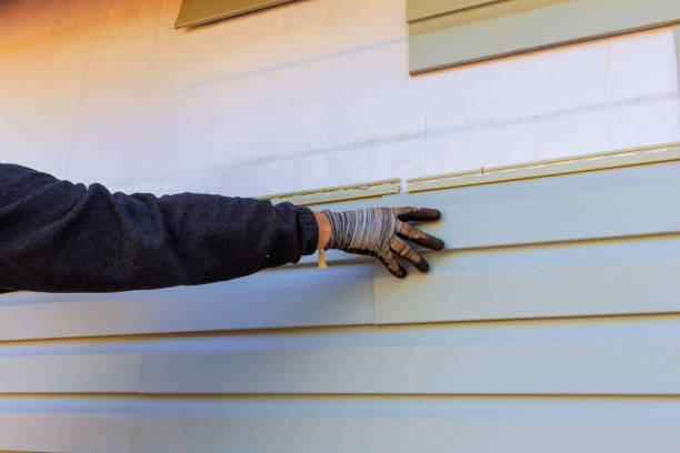 Reliable Del Norte, CO Siding Installation & Repair Solutions